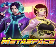 MetaSpace